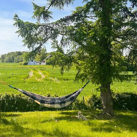 1912 With Vineyard And Hammock On Mon * Stege