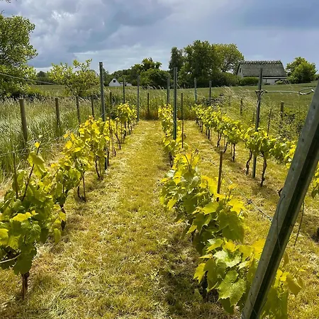 Hébergement de vacances 1912 With Vineyard And Hammock On Mon